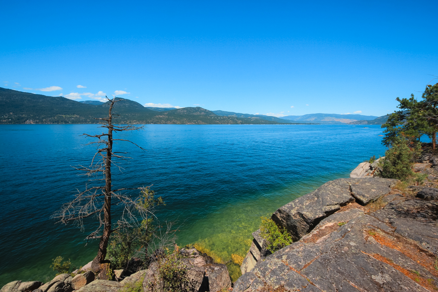 Beautiful summer day at Ellison park in Vernon