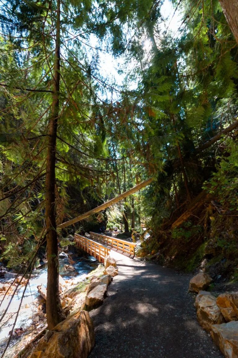 Margaret Falls Waterfall | Herald Provincial Park