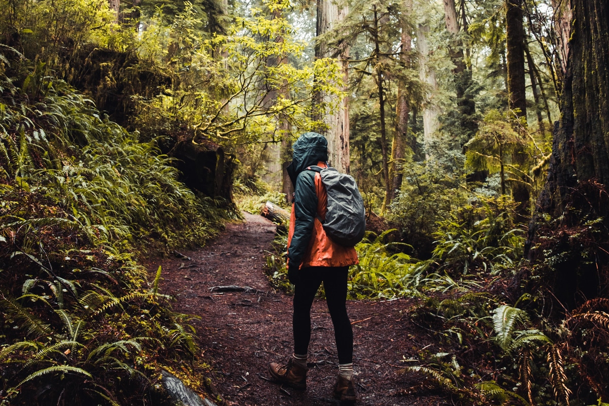 Hiking In The Rain: 5 Tips To Stay Dry & Comfortable Story – Bearfoot Theory