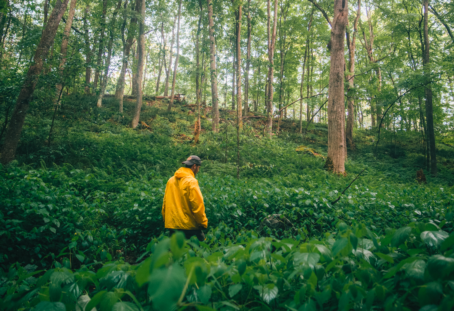 Conquer the Rain: How to Stay Comfortable Hiking in Bad Weather - Roanoke  Outside Foundation