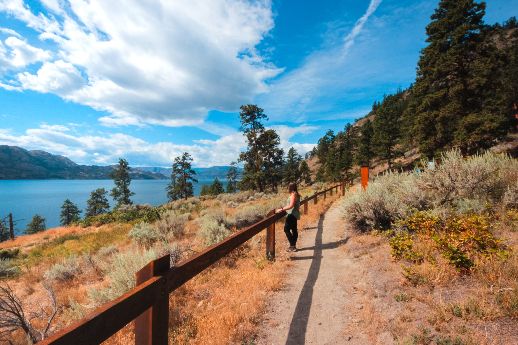 Woman on the Goat's Peak hiking trail, standing next to a wooden fence with views of Okanagan Lake.