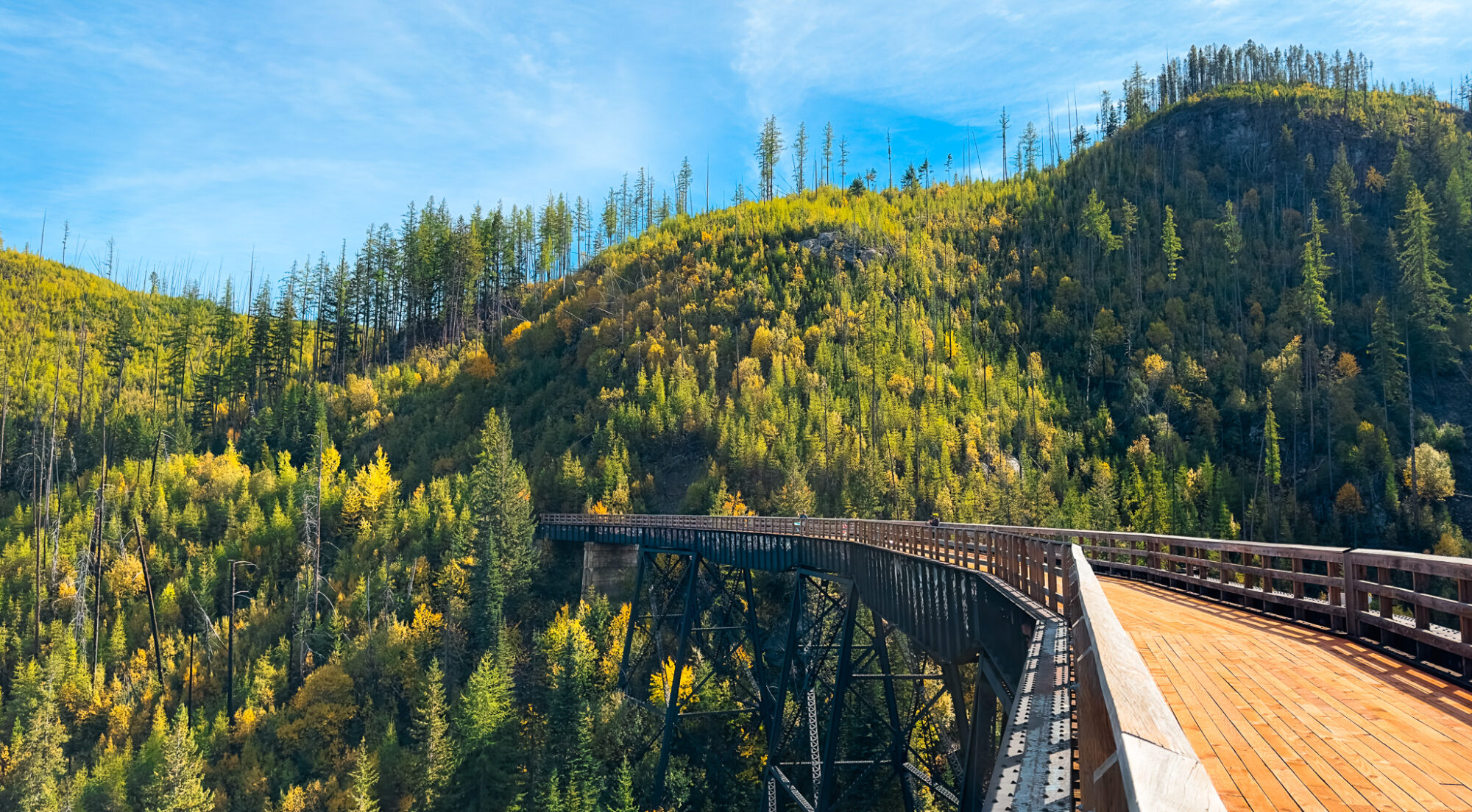 A wooden trestle disappears into a forested hillside.