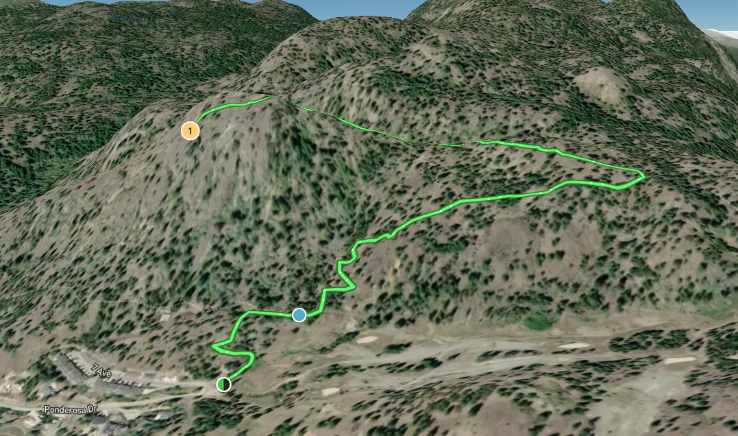 3D map of the Pincushion Mountain trail.