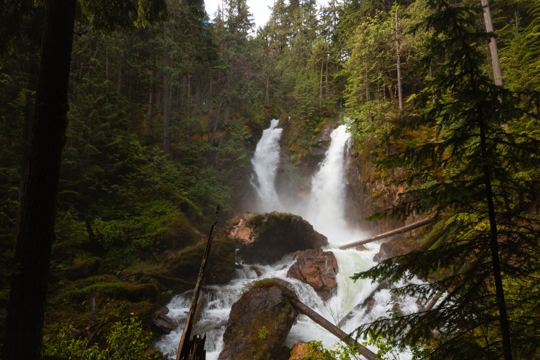 Begbie Falls is a two stream waterfall near Revelstoke BC