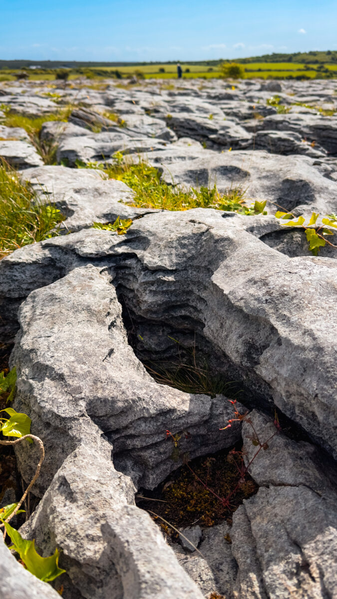 Close up of the limestone pavement near Poulnabrone Dolmen in County Clare, Ireland.