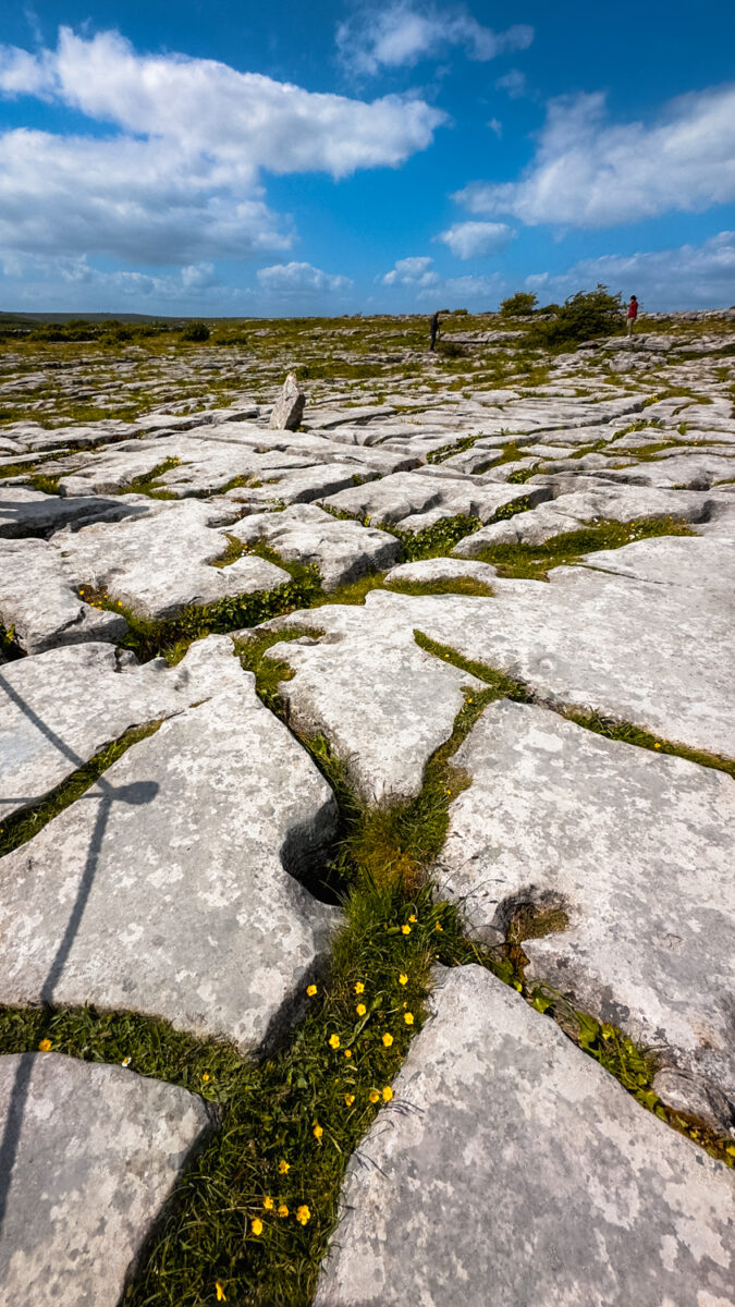 View of the cracked limestone pavement in the Burren.