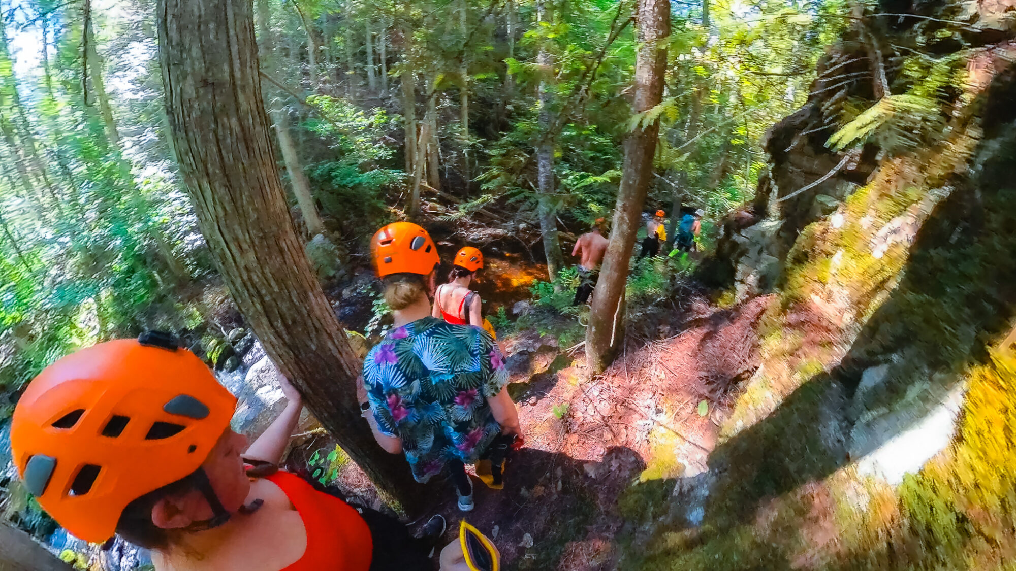 A group walks through a forest next to a creek