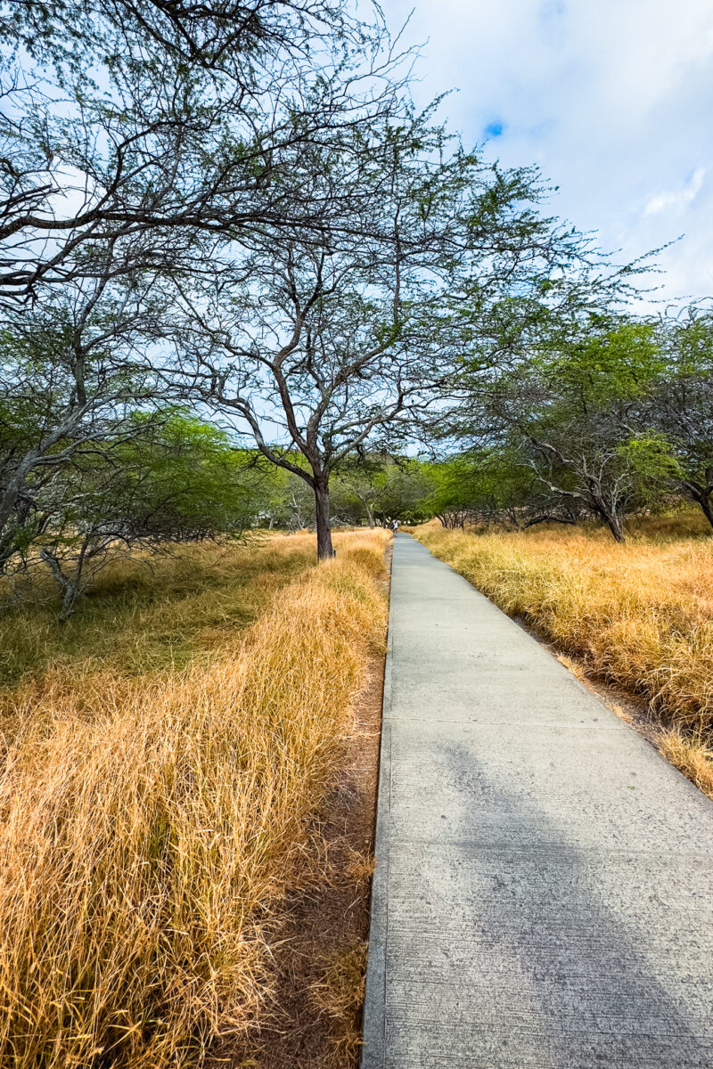 Flat section of the Diamond Head crater trail.