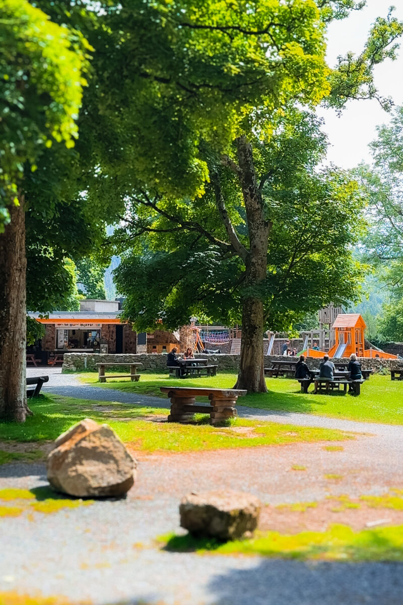 The Bug Buffet and playground in the trees.