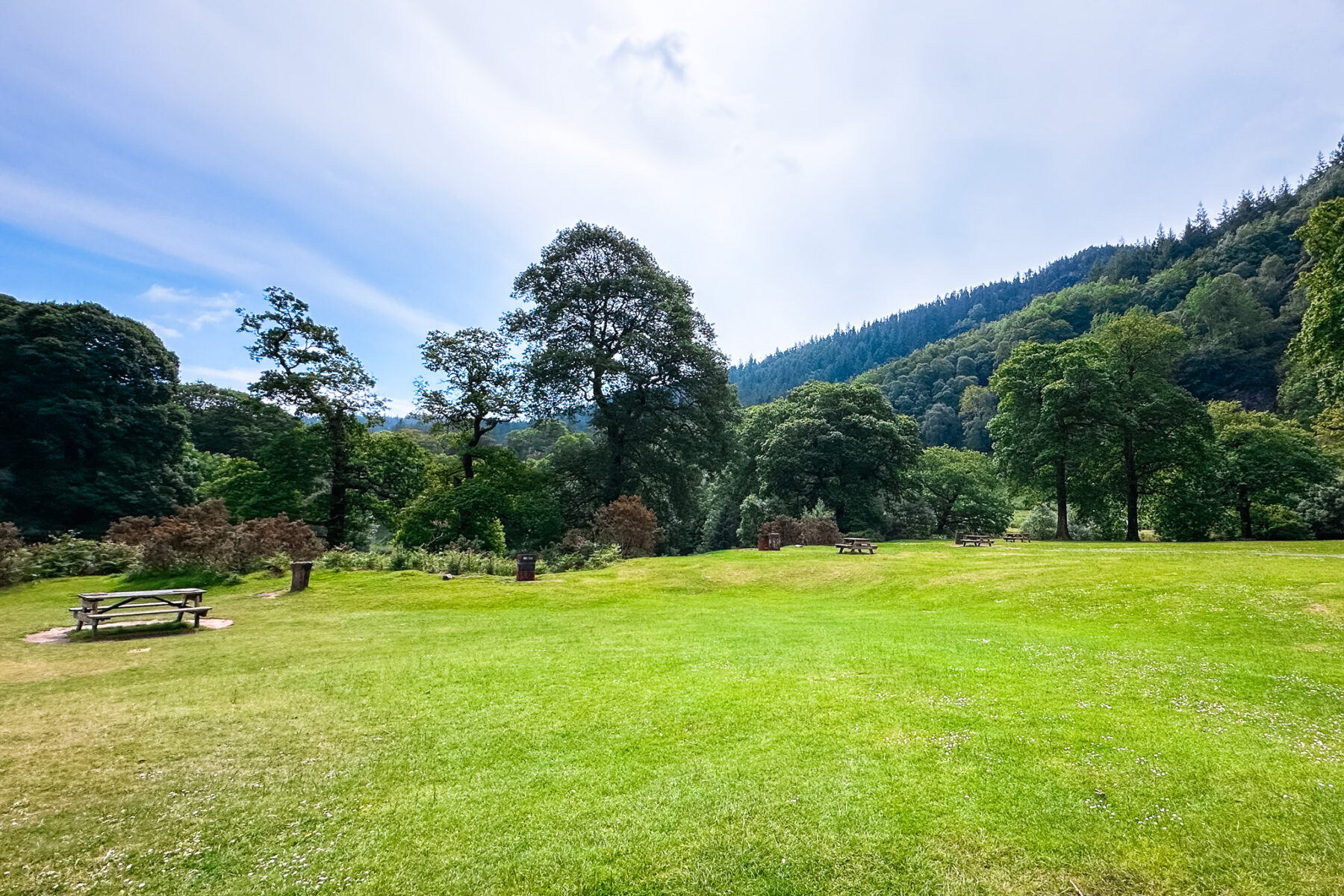 A large, green field with picnic tables and BBQ stands.