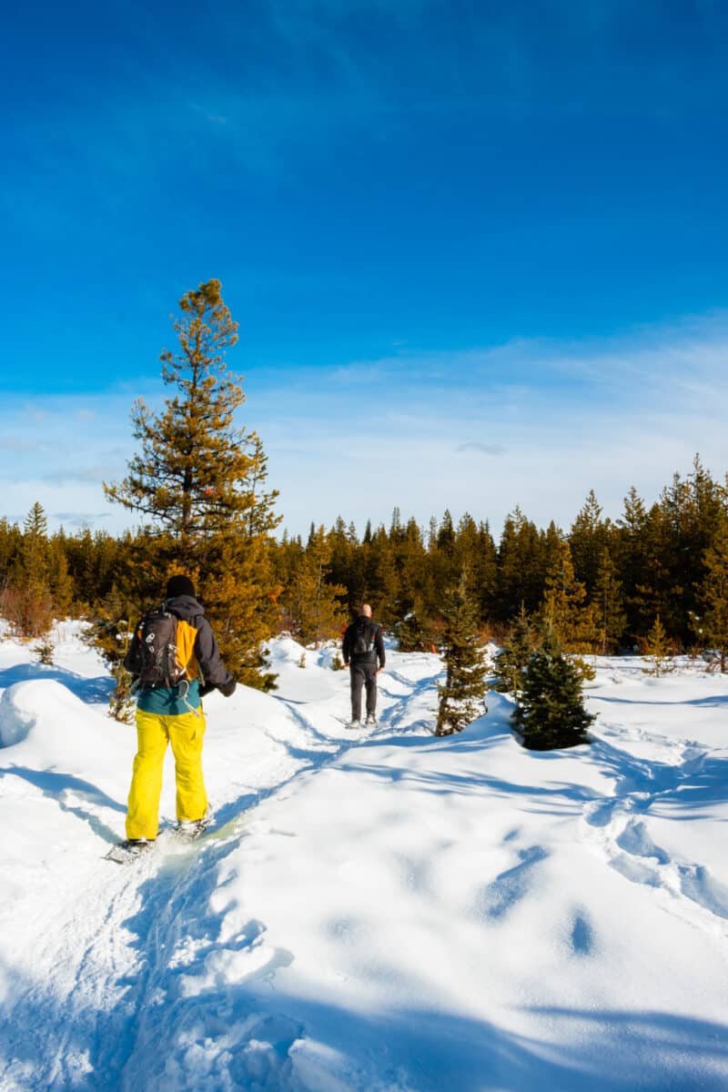 Two people snowshoe on a sunny day